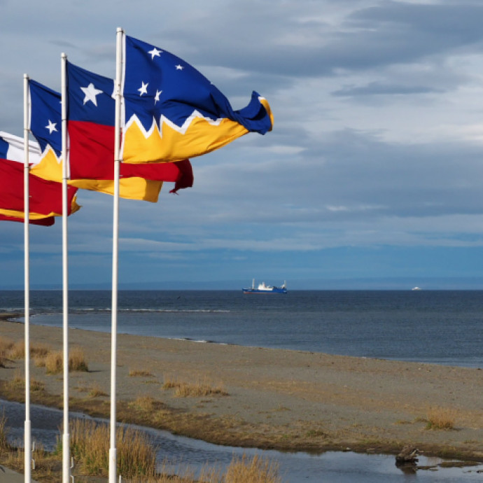 Centro de Excelencia de Biomedicina de Magallanes