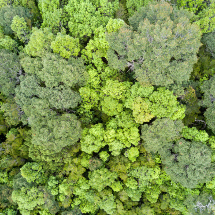 Estación Biológica Senda Darwin