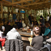 Actividad profesores Patagonia 2025