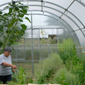 CEDEL diciembre 2022