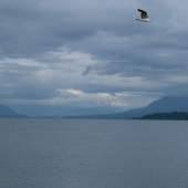 CEDEL diciembre 2022