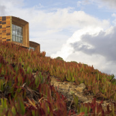 Paisaje, Autora: Nicole Saffie