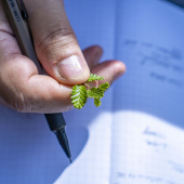 Taller Turismo con Lupa, Autor: Ivan Cabrera