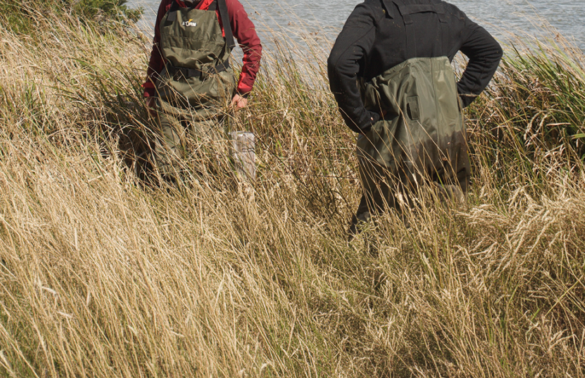 Estudiantes realizando investigación en fiordos de la Patagonia