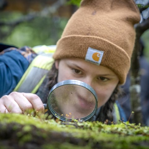 Niña en Turismo con Lupa en el Parque Omora, Autor: Ivan Cabrera