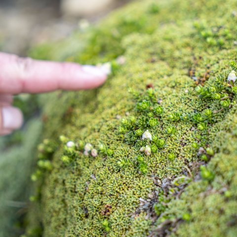 Taller turismo con lupa, Ivan Cabrera