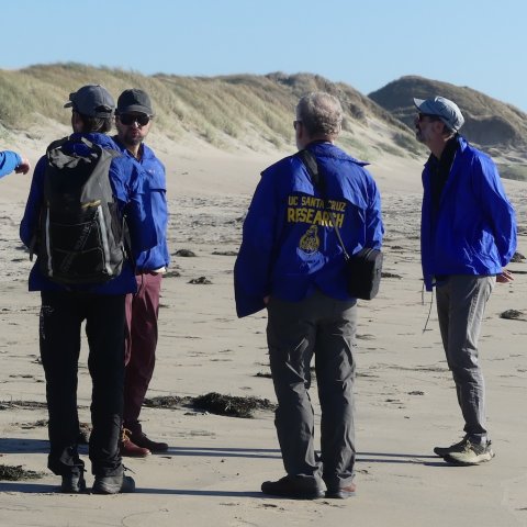 5 personas conversando en la playa californiana
