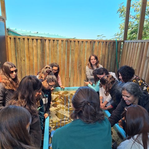 Personas en una actividad