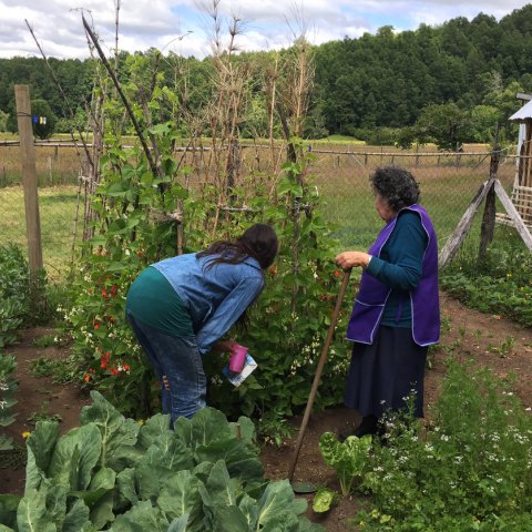 Centro UC Desarrollo Local