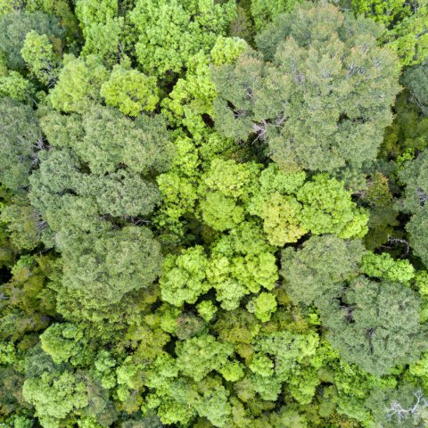 Estación Biológica Senda Darwin