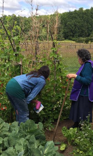 Centro UC Desarrollo Local