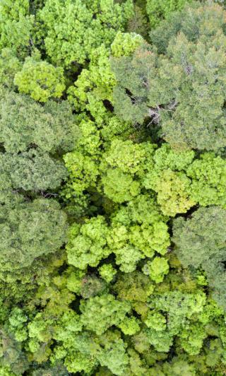 Estación Biológica Senda Darwin