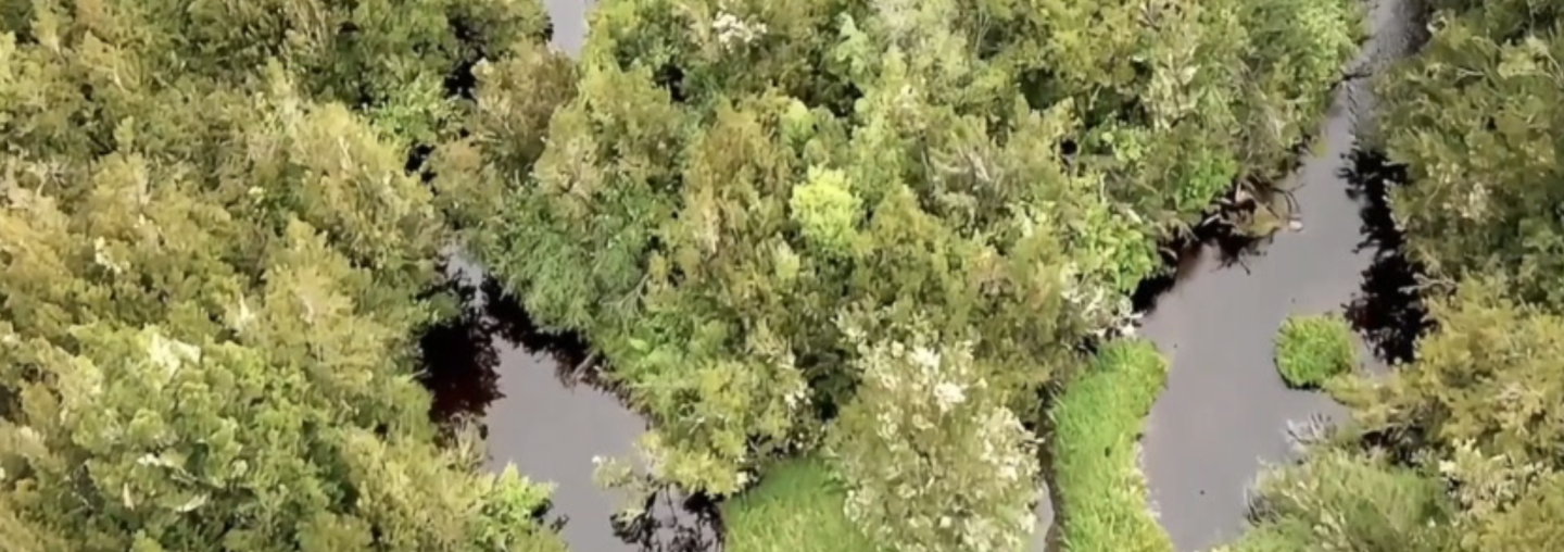 Vista aérea del paisaje
