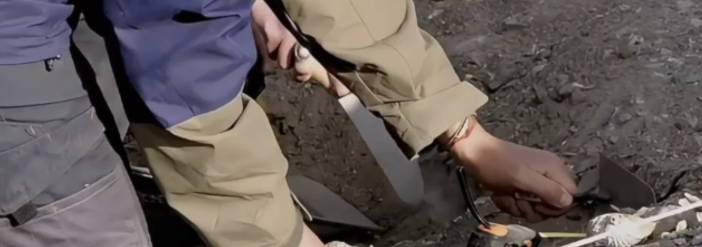 Recolección de datos en terreno