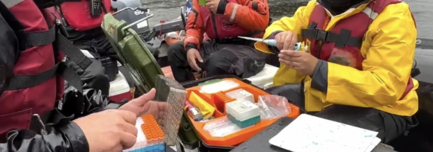 Voluntariado en RCER