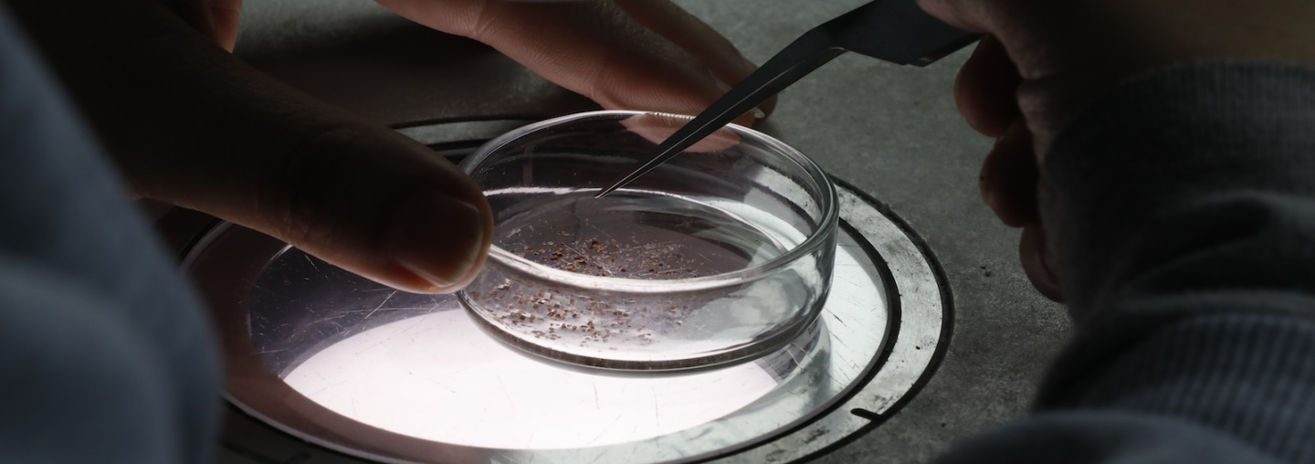 Investigadores trabajando, César Dellepiane