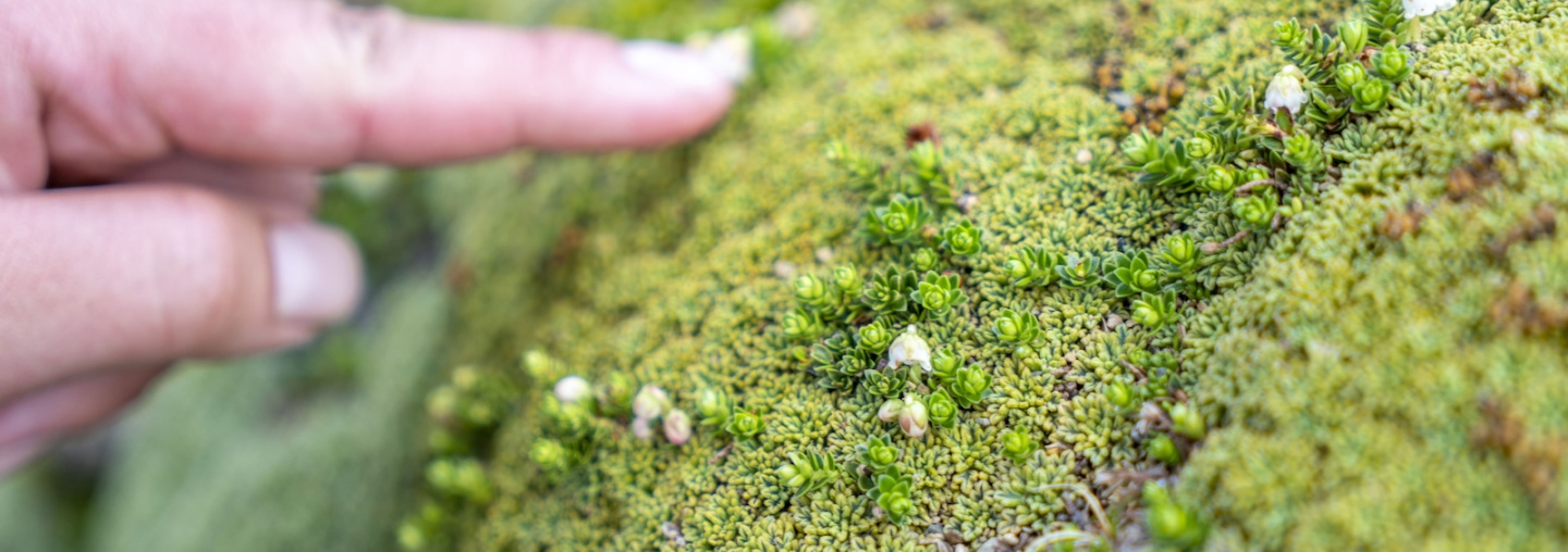 Taller turismo con lupa, Ivan Cabrera