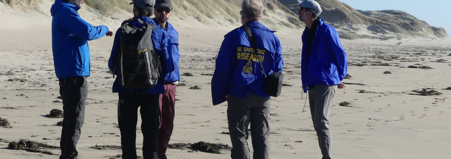 5 personas conversando en la playa californiana