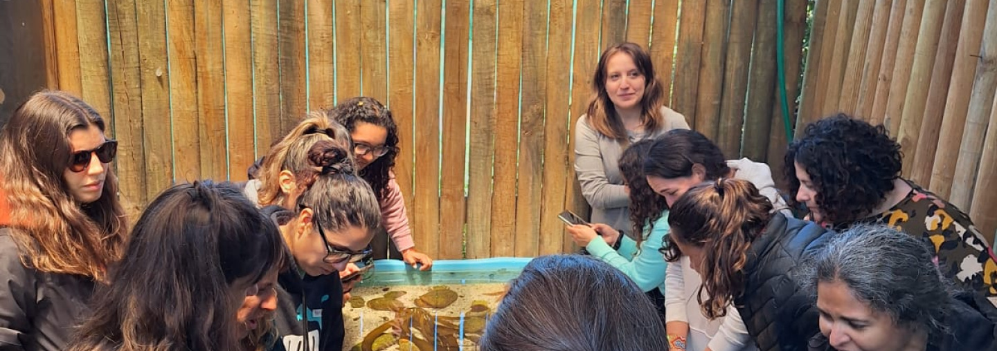 Personas en una actividad